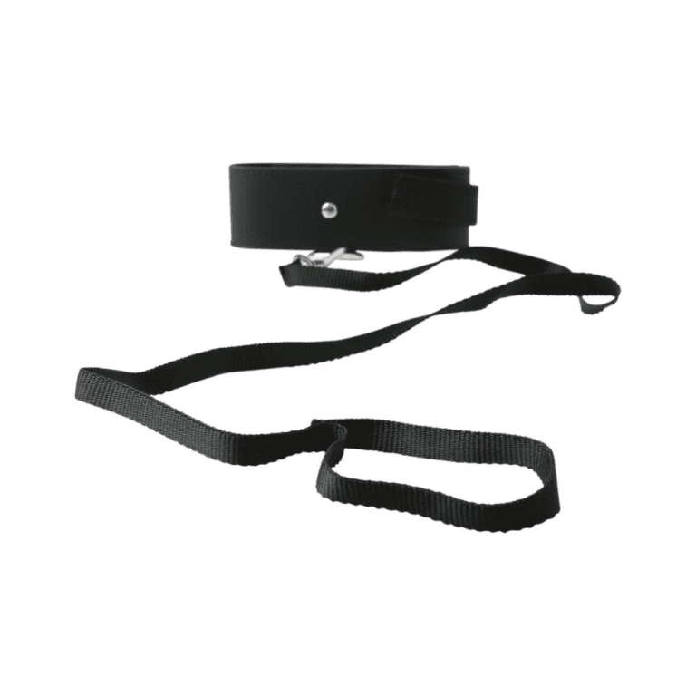 a black collar and leash against a white background