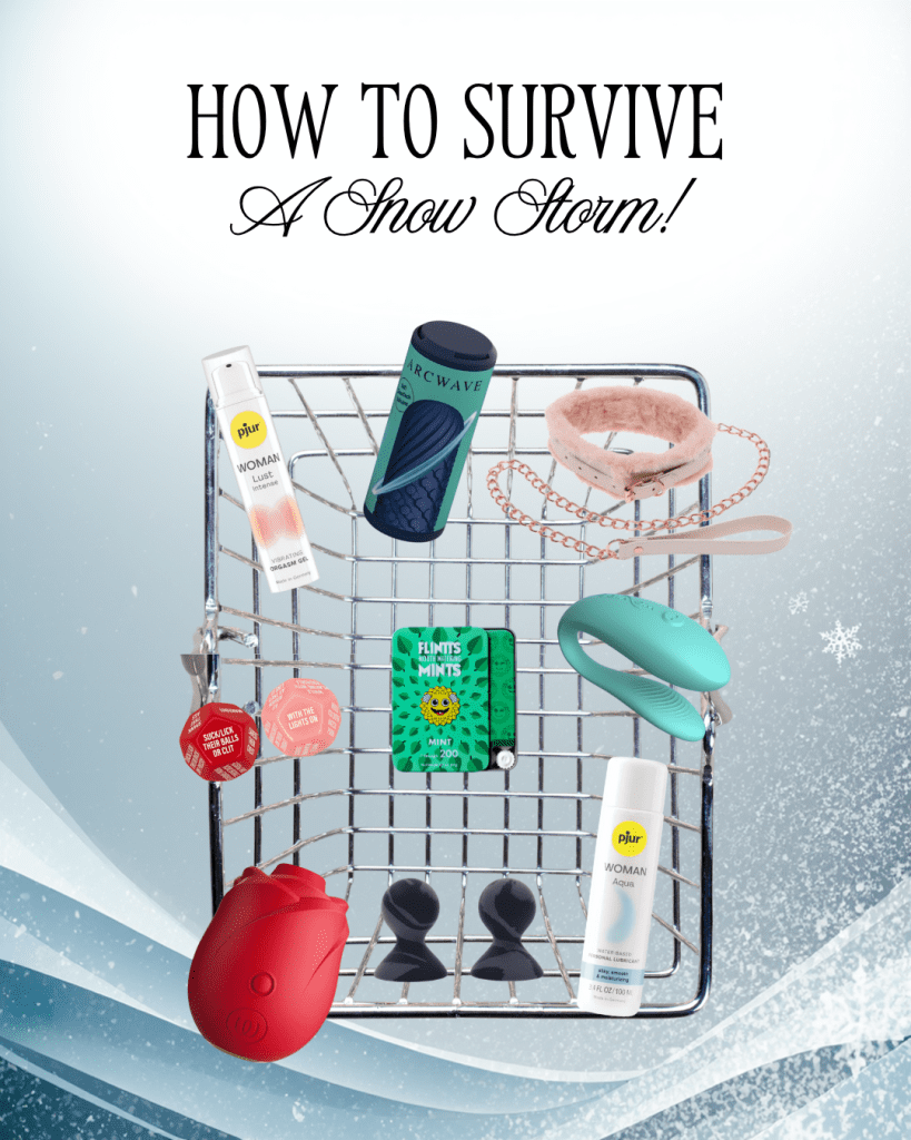 picture of a shopping cart with various sex toys inside and the caption how to survive a snowstorm