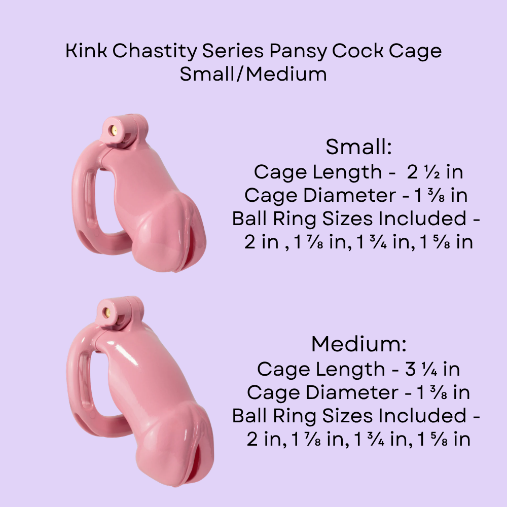 Kink Chastity Pansy Cock Cage - Image 4